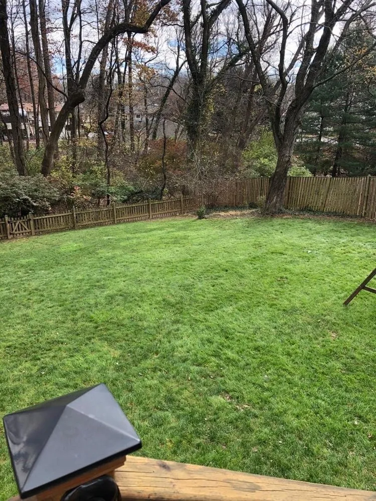 Custom yard cleanup service in East Riverdale, MD - Castor Multi-services