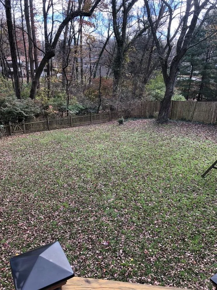 Expert lawn care service for homes in East Riverdale, MD by Castor Multi-services