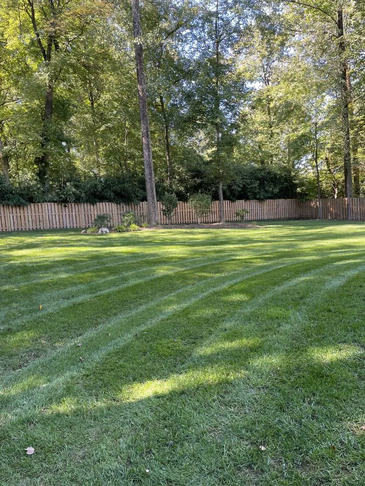 Expert residential landscaping in East Riverdale, MD - Castor Multi-services
