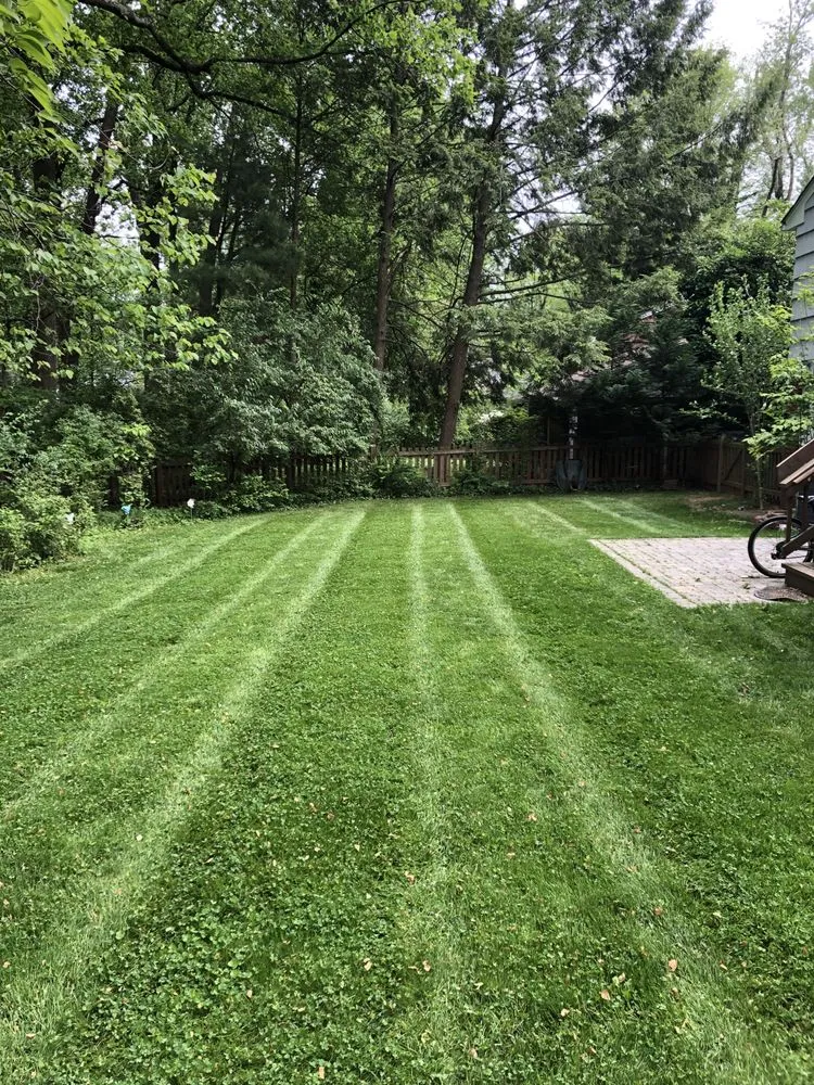 Expert garden landscaping experts serving East Riverdale, MD - Castor Multi-services