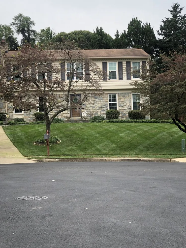 Top-rated yard cleanup service for beautiful yards in East Riverdale, MD by Castor Multi-services
