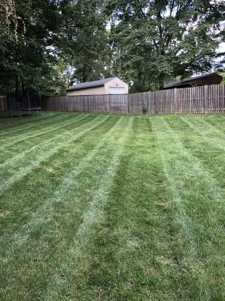 Professional yard cleanup service experts serving East Riverdale, MD - Castor Multi-services