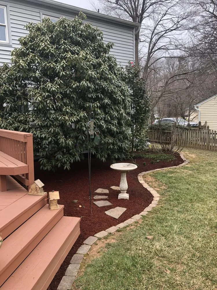 Local lawn care service experts serving East Riverdale, MD - Castor Multi-services