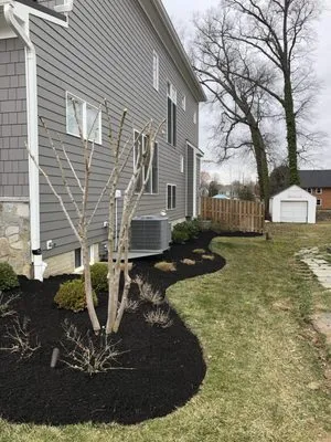 Castor Multi-services