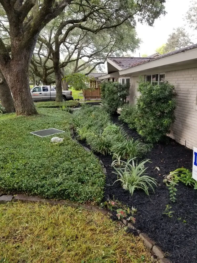 Local landscaping services in Cypress, TX - Castores Landscape