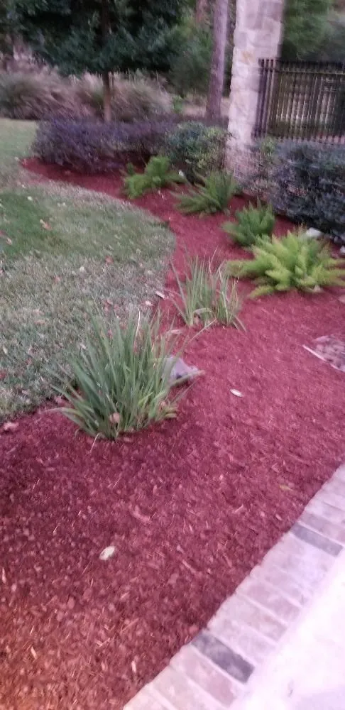 Professional landscape installation for residential properties across Cypress, TX - Castores Landscape