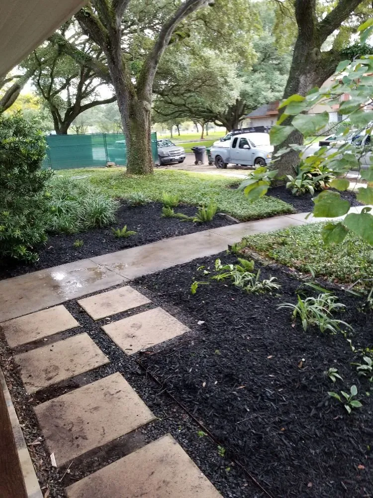 Trusted residential landscaping for year-round maintenance across Cypress, TX - Castores Landscape