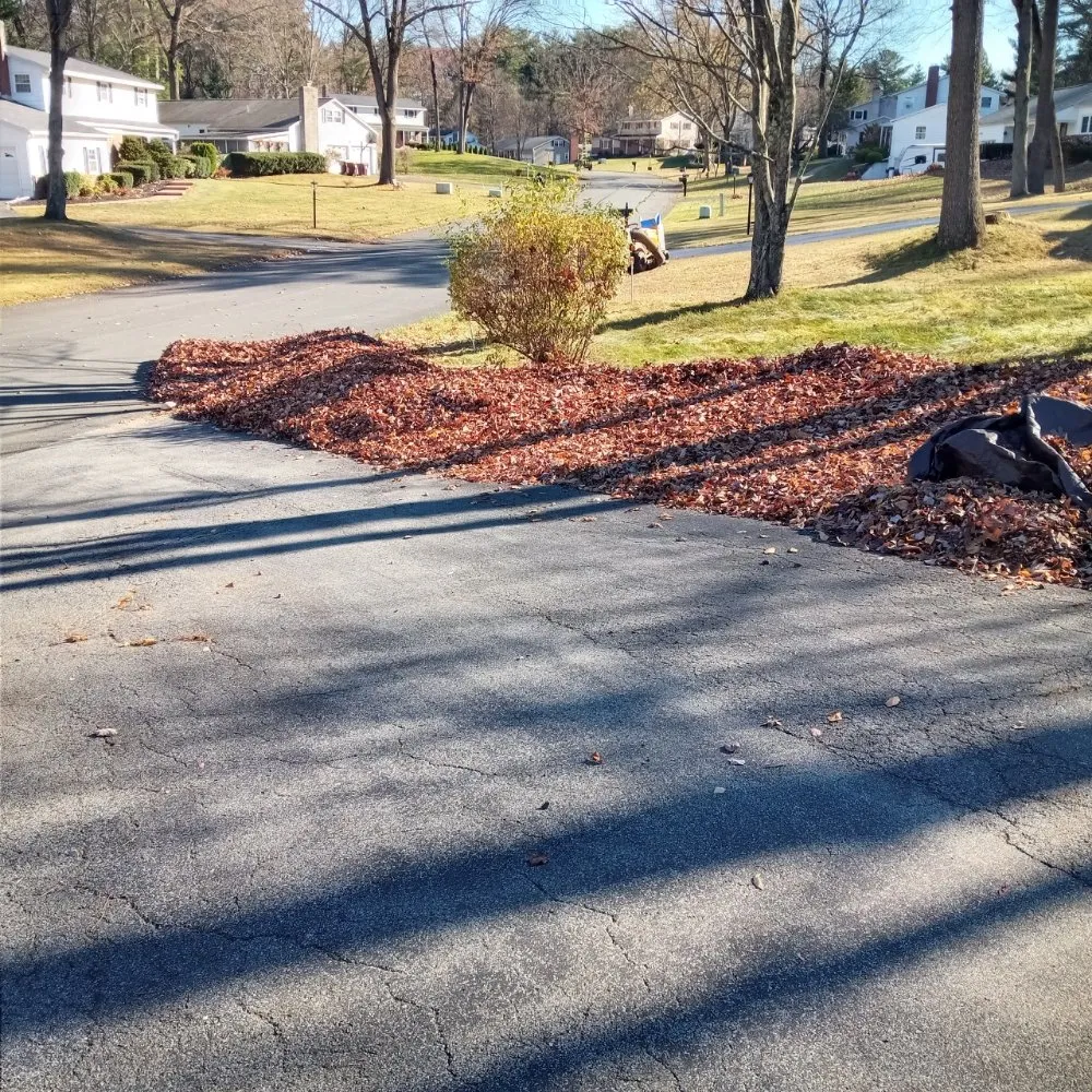 Trusted residential landscaping in Cohoes, NY - Castracane's Small Engine Repair and Outdoor Services