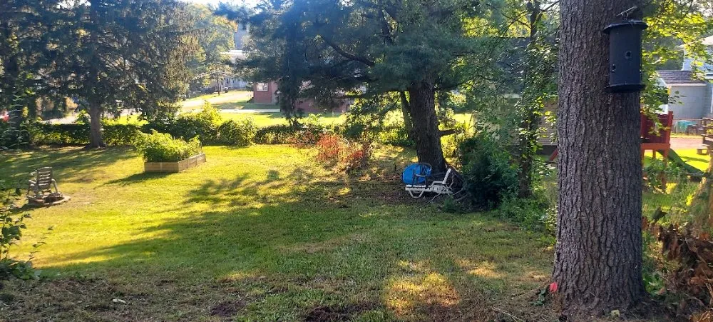 Affordable yard cleanup service experts serving Cohoes, NY - Castracane's Small Engine Repair and Outdoor Services