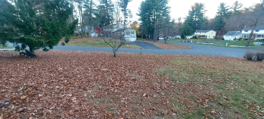 Trusted landscape installation experts serving Cohoes, NY - Castracane's Small Engine Repair and Outdoor Services