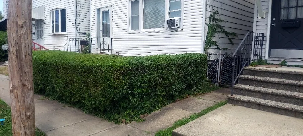 Expert lawn mowing service for outdoor upgrades across Cohoes, NY - Castracane's Small Engine Repair and Outdoor Services