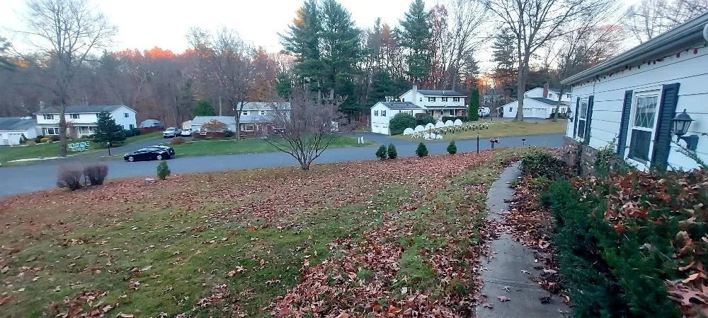 Trusted lawn mowing service near you in Cohoes, NY by Castracane's Small Engine Repair and Outdoor Services