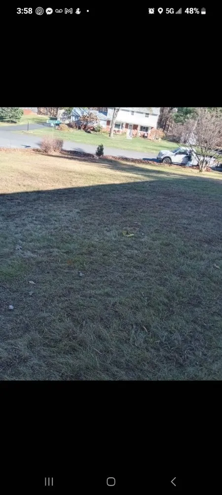 Affordable yard cleanup service in Cohoes, NY - Castracane's Small Engine Repair and Outdoor Services