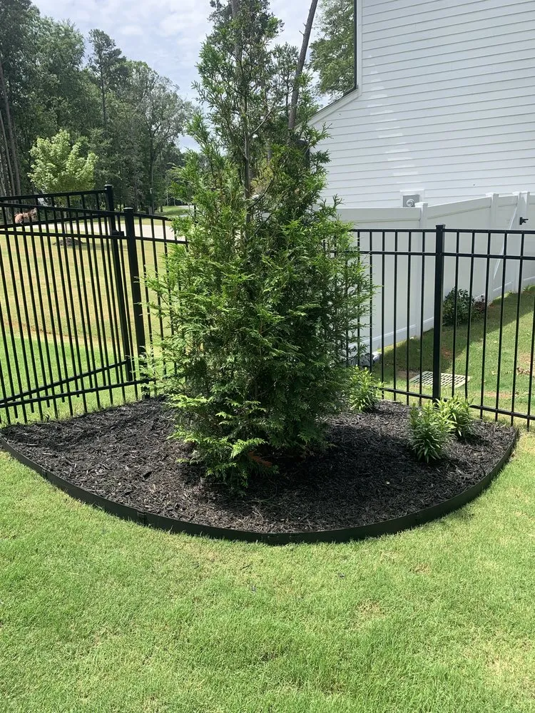 Trusted yard cleanup service experts serving Monroe, NC - Castrejon Landscaping Maintenance