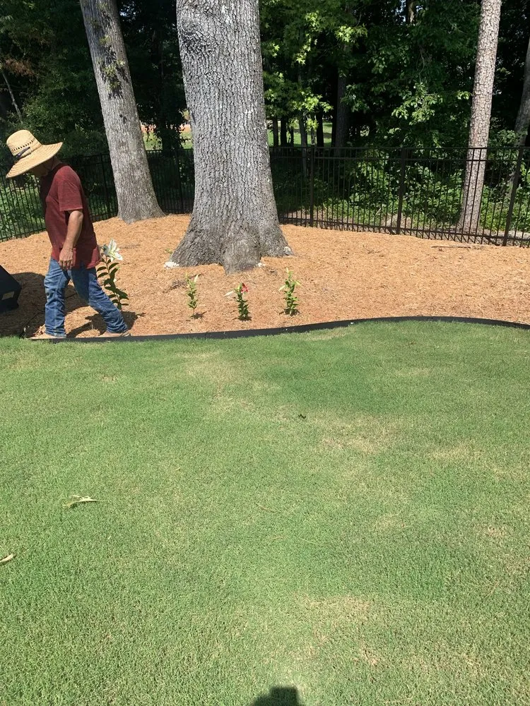 Affordable yard maintenance in Monroe, NC - Castrejon Landscaping Maintenance