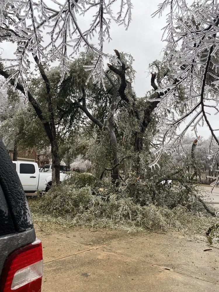 Local lawn mowing service in Pflugerville, TX by Castro Family Landscaping