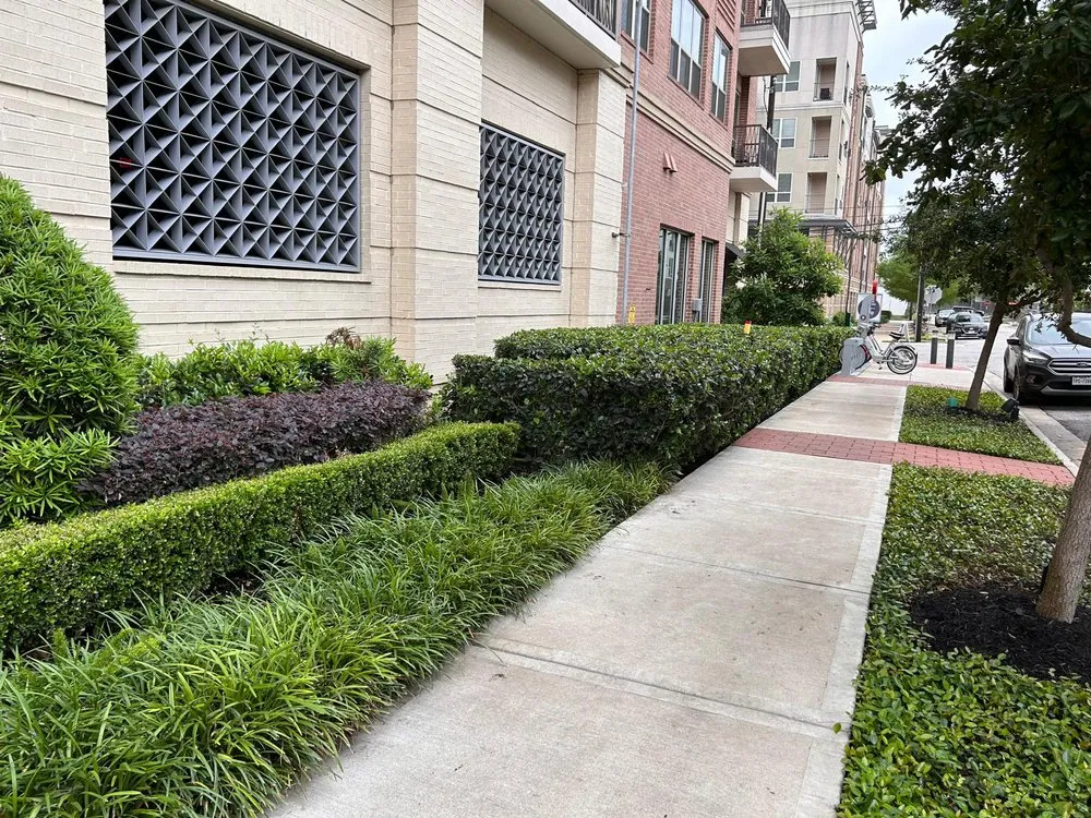 Affordable garden landscaping near you in Houston, TX by Castro Landscape And Delivery Services
