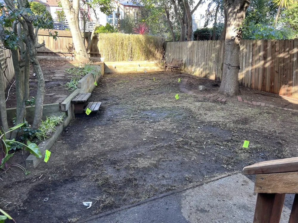 Top-rated garden landscaping in San Francisco, CA - Castro Landscape