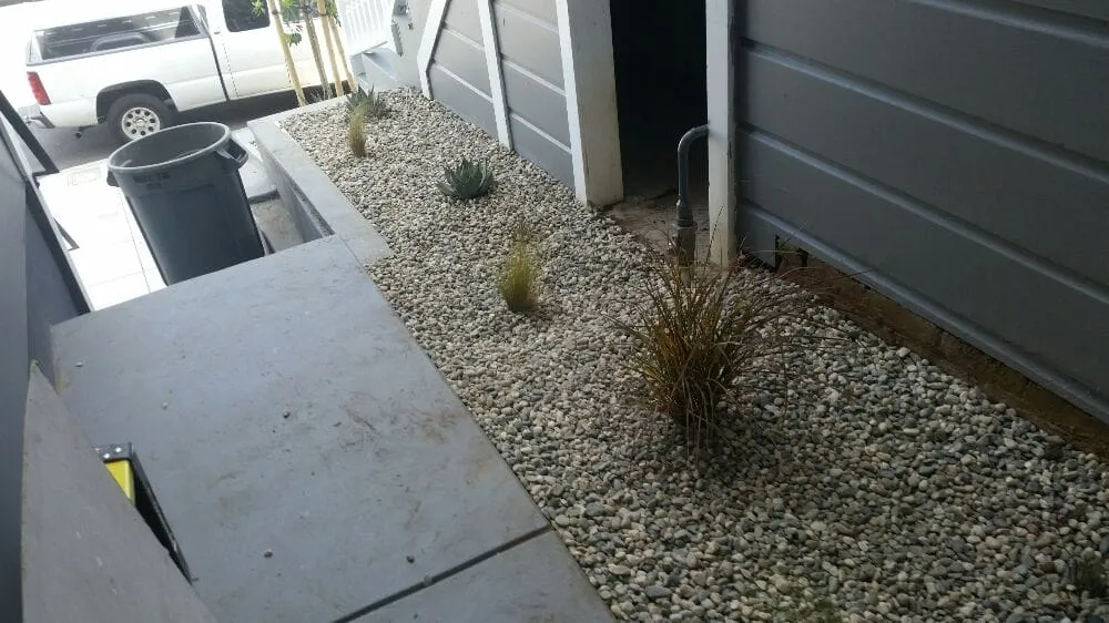 Professional residential landscaping in San Francisco, CA - Castro Landscape