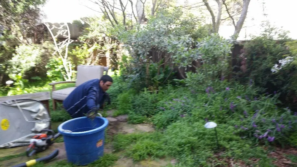 Affordable lawn care service in San Francisco, CA - Castro Landscape