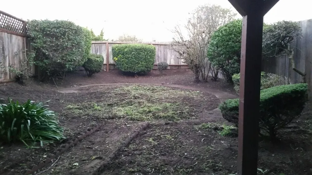 Expert landscape design in San Francisco, CA by Castro Landscape