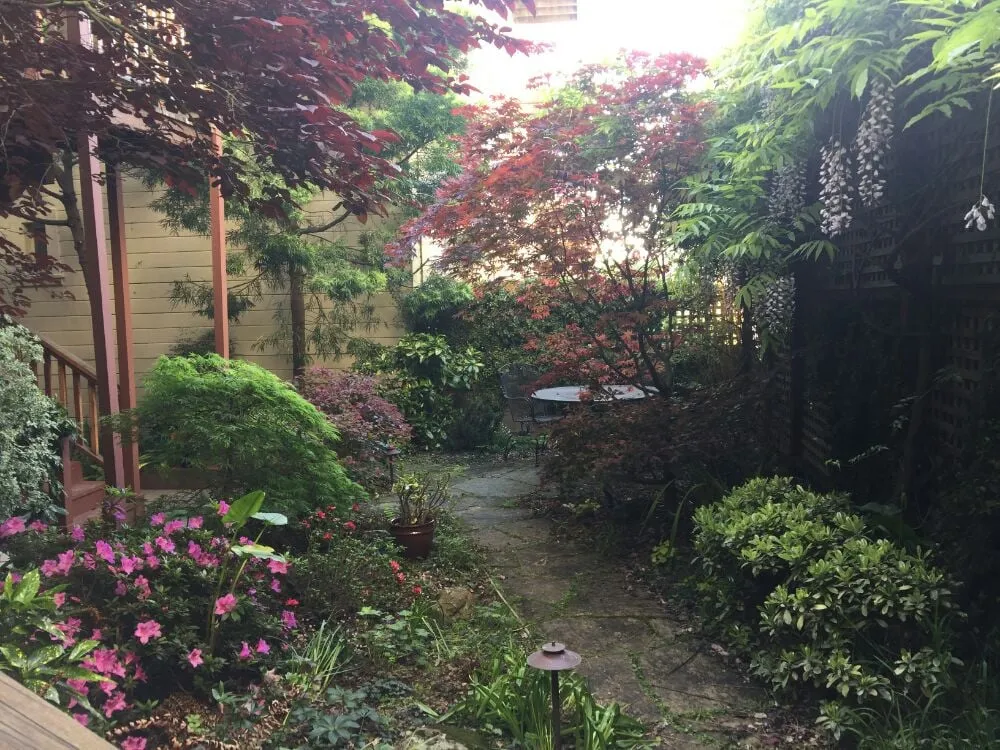 Local residential landscaping for beautiful yards across San Francisco, CA - Castro Landscape