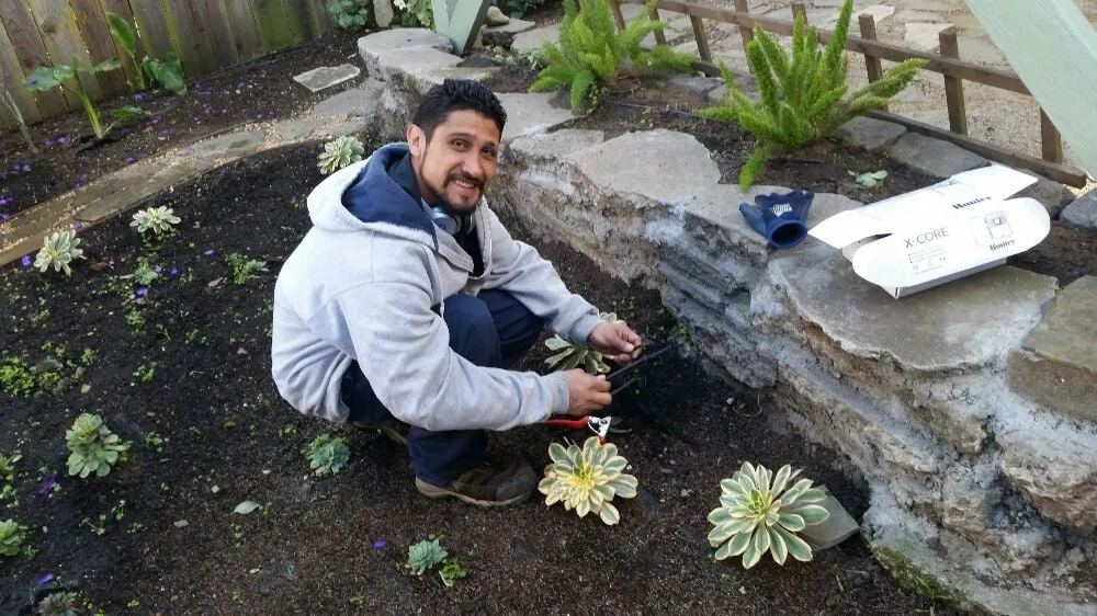 Local garden landscaping in San Francisco, CA by Castro Landscape