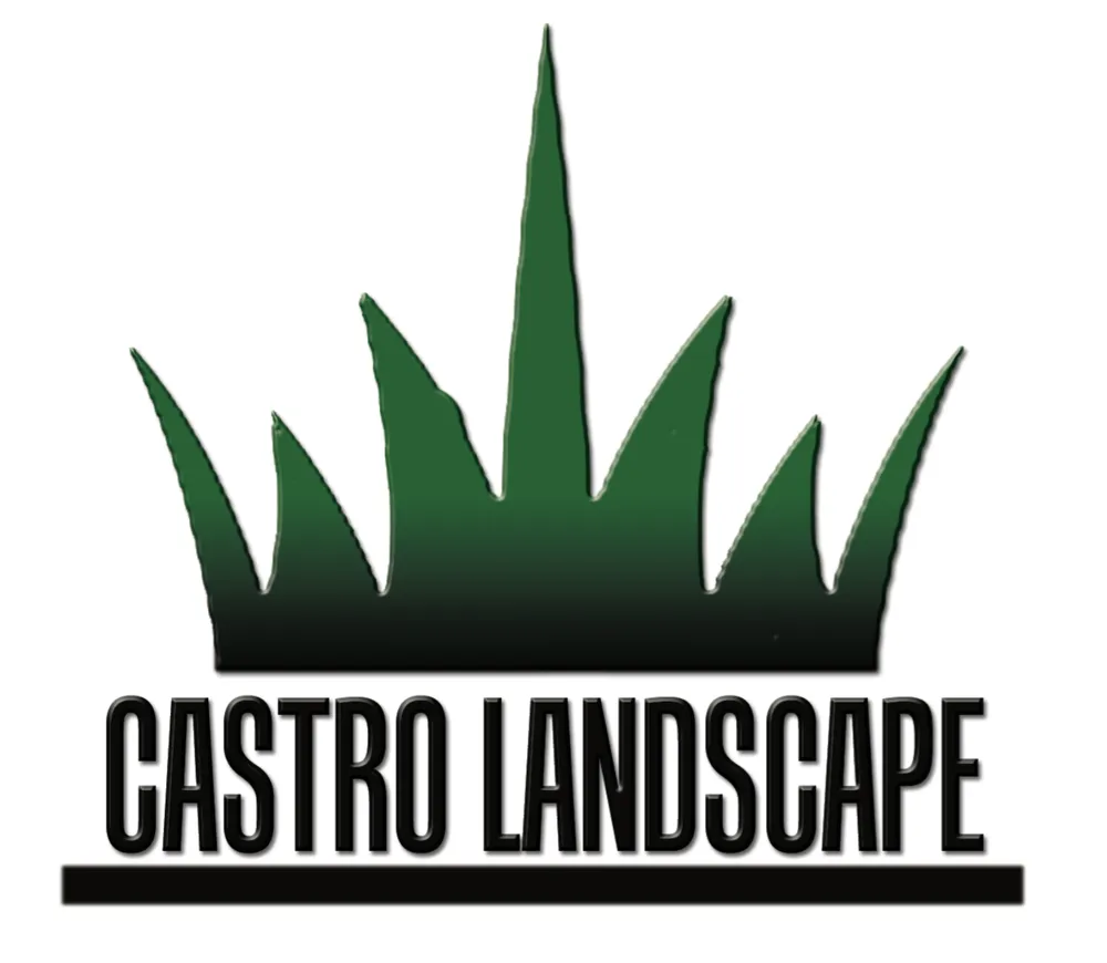 Top-rated yard cleanup service with custom design across San Francisco, CA - Castro Landscape