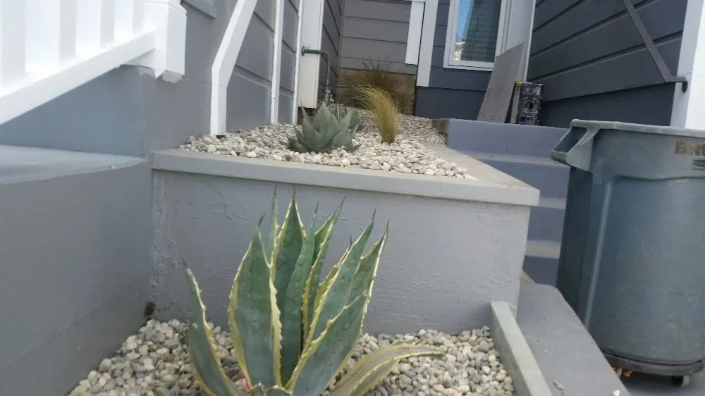 Reliable lawn mowing service for year-round maintenance across San Francisco, CA - Castro Landscape