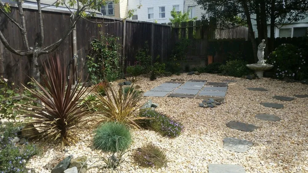 Trusted landscape design in San Francisco, CA - Castro Landscape