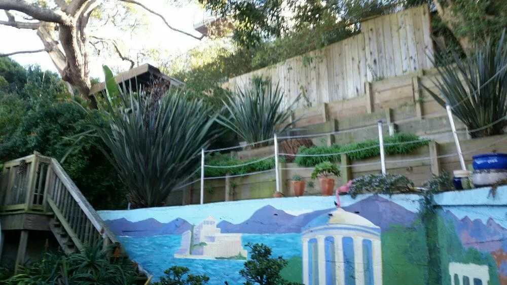 Expert yard maintenance for beautiful yards in San Francisco, CA by Castro Landscape