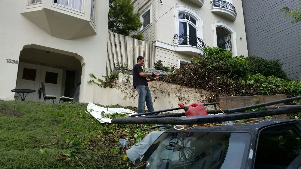 Professional lawn mowing service for outdoor upgrades in San Francisco, CA by Castro Landscape