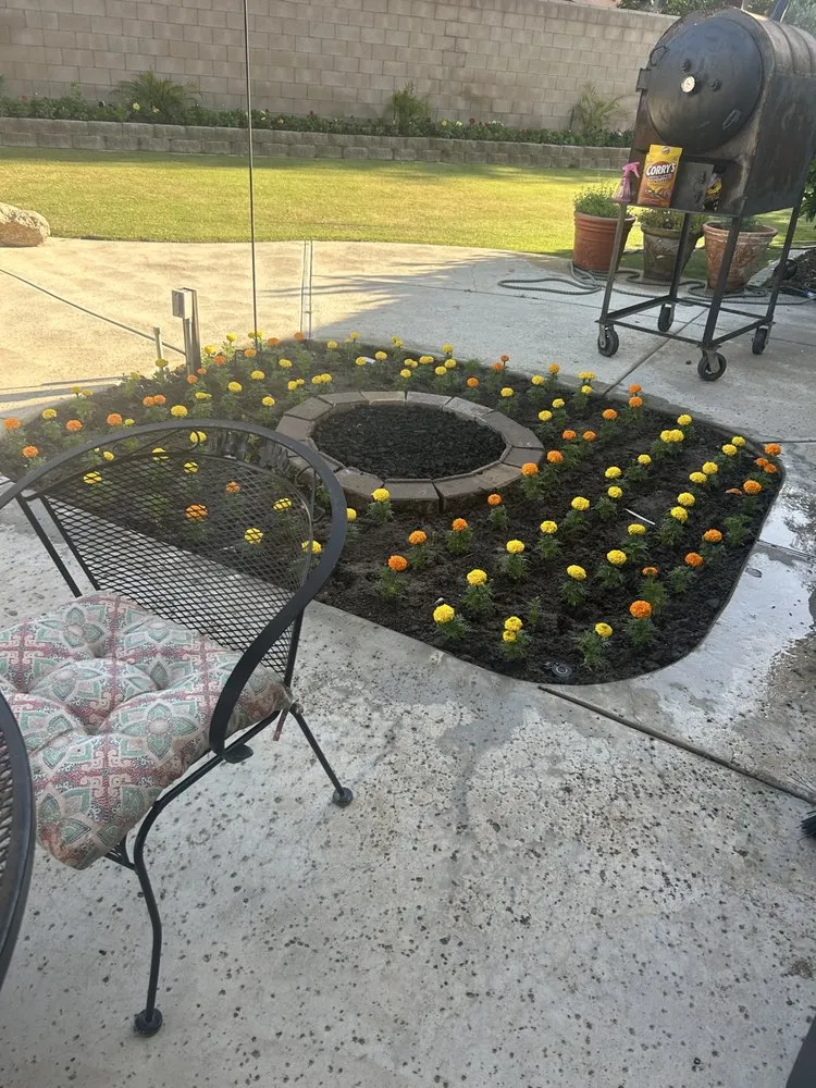 Reliable yard cleanup service for year-round maintenance across Pumpkin Center, CA - Castro Landscaping and Maintenance
