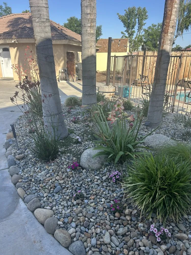 Top-rated landscape design for year-round maintenance across Pumpkin Center, CA - Castro Landscaping and Maintenance