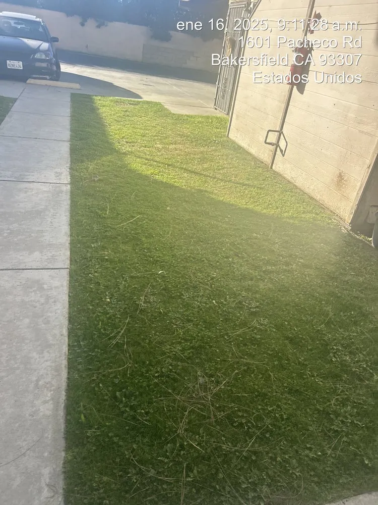 Custom landscape design experts serving Pumpkin Center, CA - Castro Landscaping and Maintenance