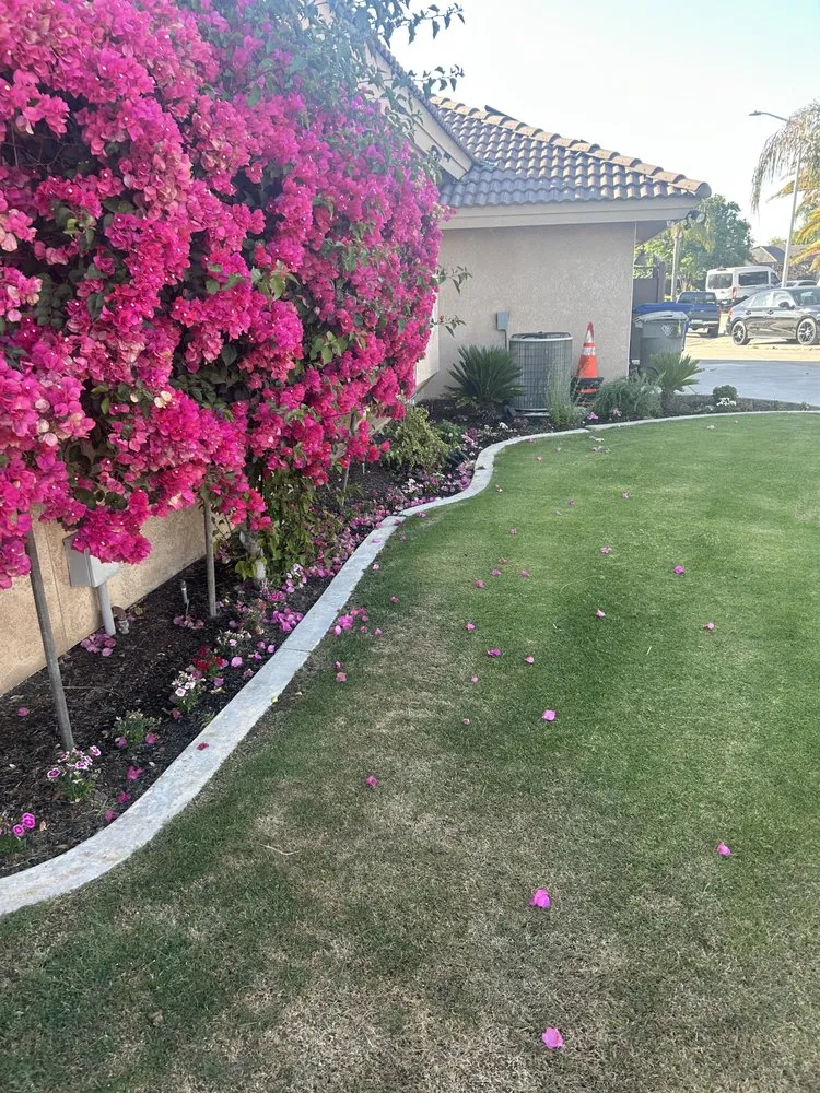 Reliable lawn care service with custom design in Pumpkin Center, CA by Castro Landscaping and Maintenance