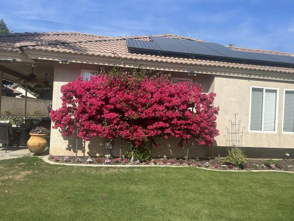 Trusted landscape design for beautiful yards in Pumpkin Center, CA by Castro Landscaping and Maintenance