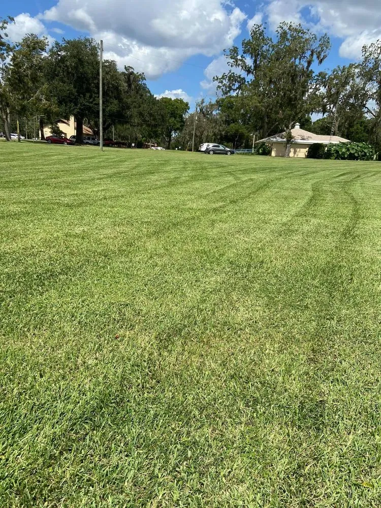 Professional landscaping services in Anthony, FL - Castro Landscaping and Services