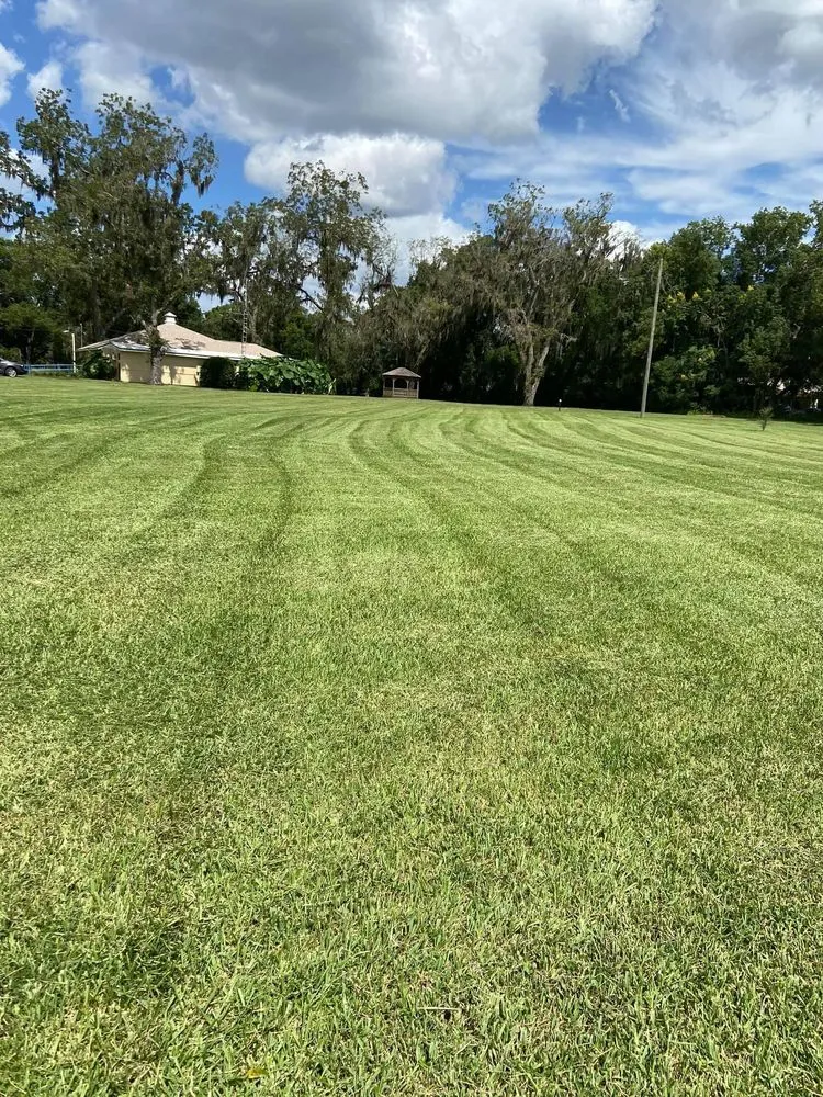 Custom yard maintenance in Anthony, FL - Castro Landscaping and Services