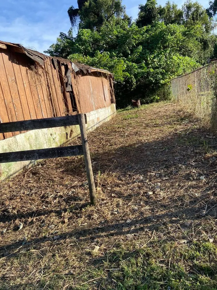 Professional lawn mowing service in Anthony, FL by Castro Landscaping and Services