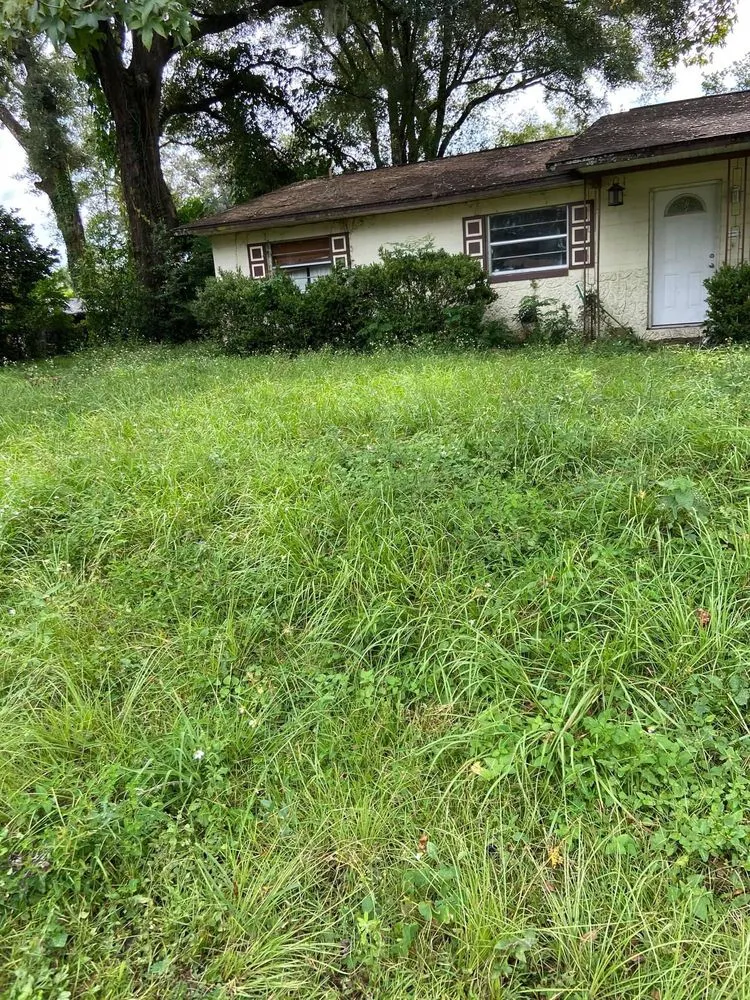 Affordable lawn care service in Anthony, FL - Castro Landscaping and Services