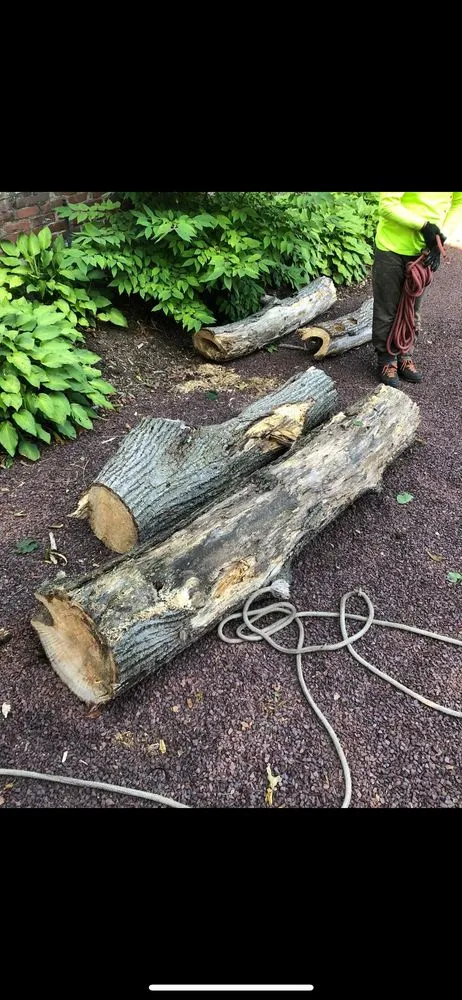 Trusted yard maintenance in City of Orange, NJ by Castro Landscaping