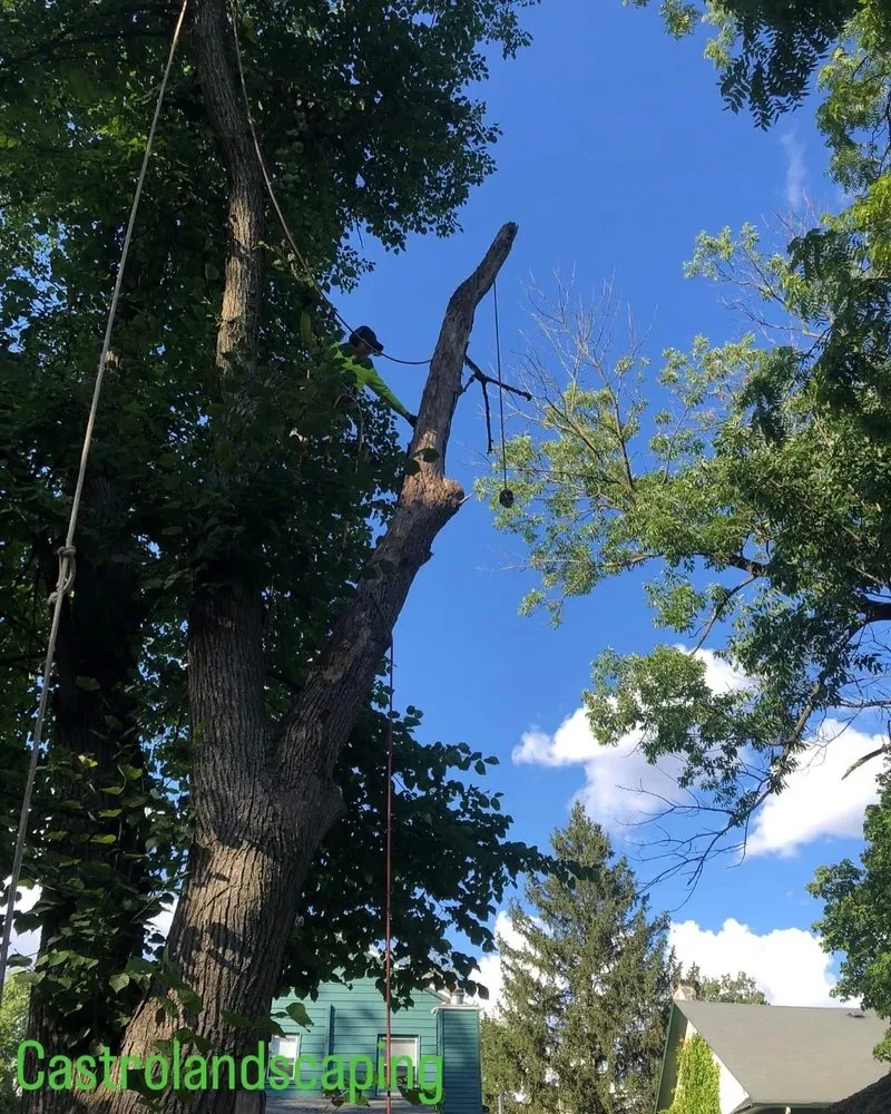 Professional yard maintenance for outdoor upgrades across City of Orange, NJ - Castro Landscaping