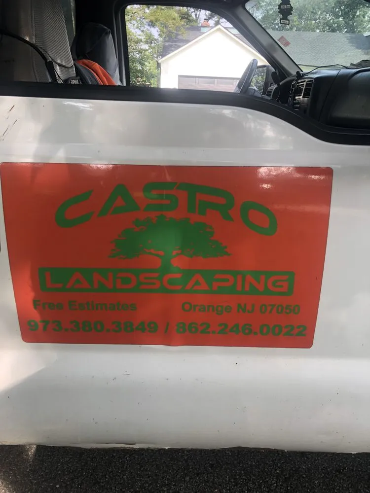 Expert yard cleanup service in City of Orange, NJ by Castro Landscaping