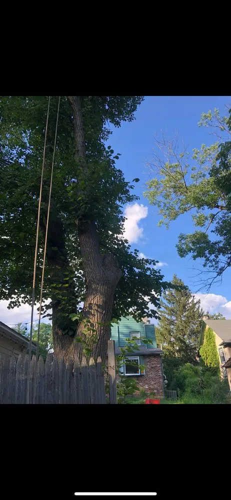 Custom outdoor landscaping experts serving City of Orange, NJ - Castro Landscaping