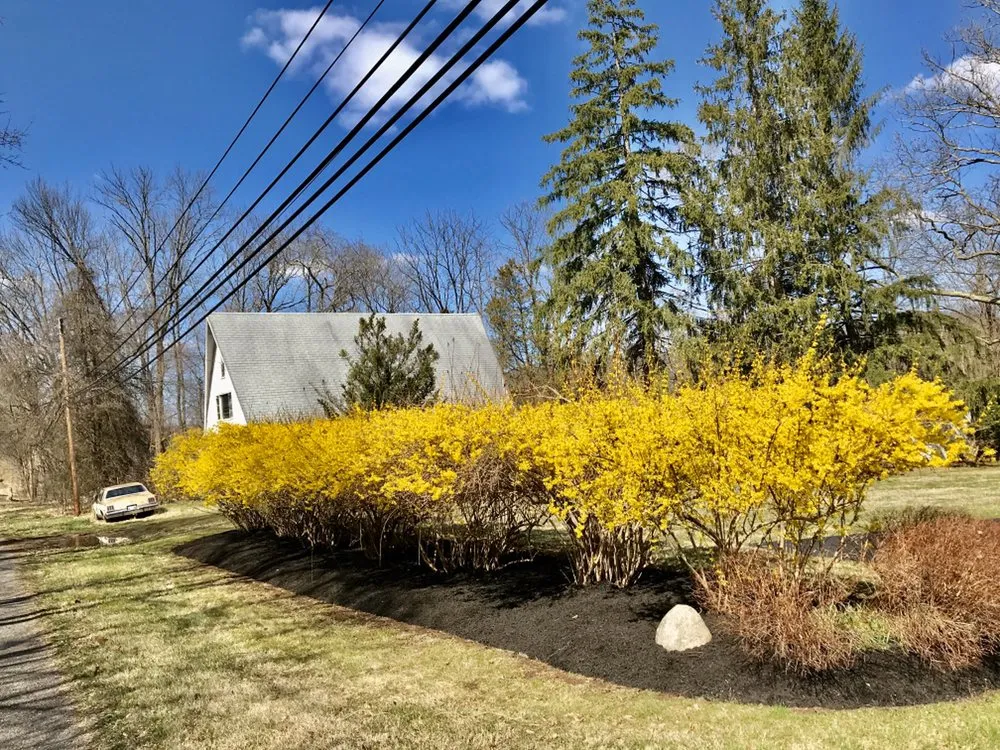 Reliable yard cleanup service experts serving Doylestown, PA - Castro Landscaping