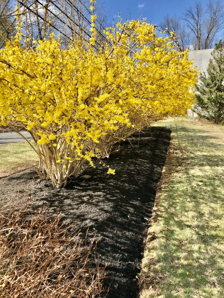 Top-rated yard maintenance for outdoor upgrades in Doylestown, PA by Castro Landscaping