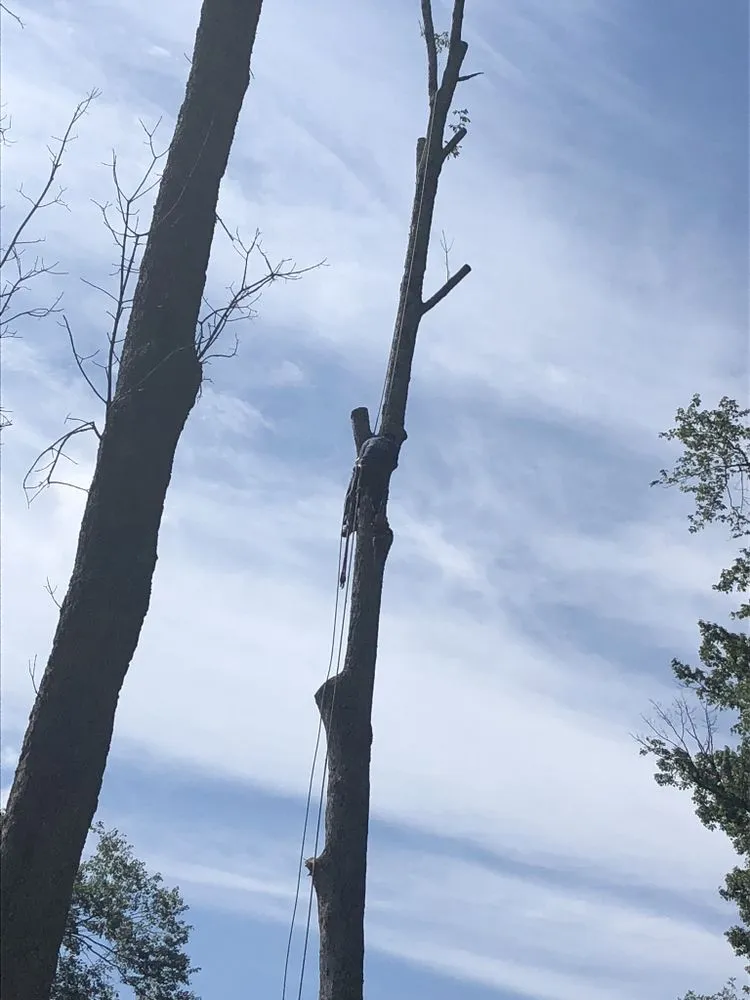 Reliable landscaping services in Peekskill, NY by Castro Landscaping