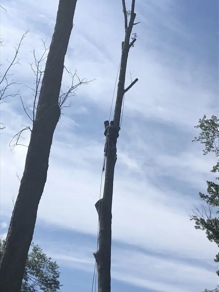 Top-rated landscaping services in Peekskill, NY by Castro Landscaping