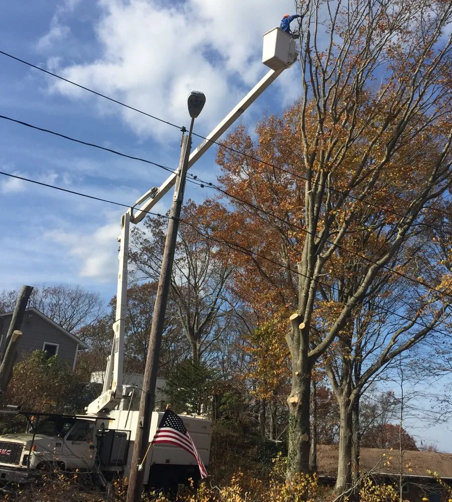 Professional lawn care service in Rocky Point, NY - Castro Landscaping